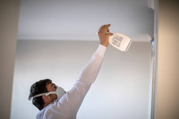 Professional Mold Removal in Waverly, NY