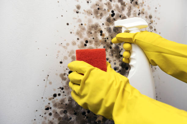 Water Damage Restoration in Waverly, NY